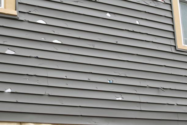 Affordable siding repair and maintenance services in Berkeley, CA